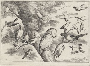 Birds in a Tree