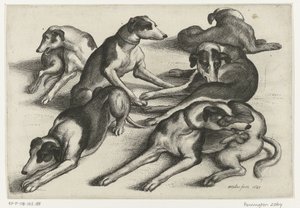Six Lying Hunting Dogs by Wenceslaus Hollar