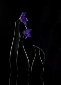 Purple Bloom Vases by Wendy Xu