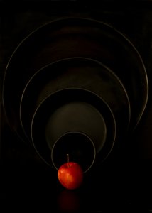 Red Apple Dark Circles by Wendy Xu