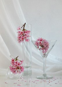 Spring Blossom Still Life by Wendy Xu