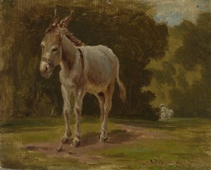 Ass by Werner Holmberg