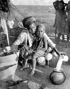 Gathering Myrrh and Frankincense, Somalia, Africa