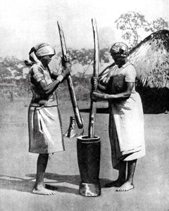 Two Mashona Tribeswomen Pounding Maize and Millet, Zimbabwe, Africa