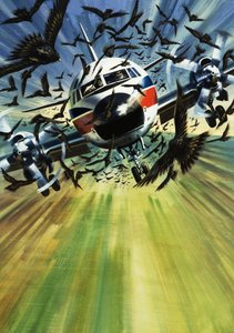 A Passenger Airliner Threatened by a Flock of Birds by Wilf (20th century) Hardy