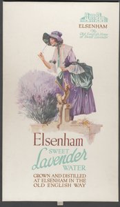 Elsenham Lavender by Wilfred Fryer