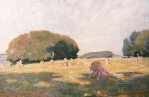 Haystacks in a Field