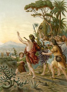 The Scouts of the Land of Canaan