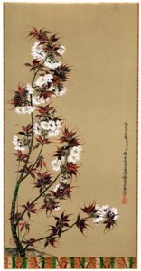 The Cherry Blossoms of Mikawa by Wilhelm Greve