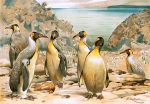 Giant Penguins by Wilhelm Kuhnert
