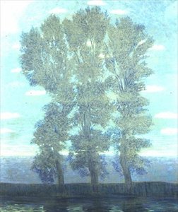 Trees Before a Lake