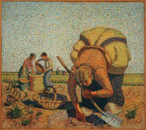 Potato Harvest II