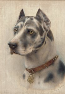 The Head of a Doberman by Wilhelm Schwar