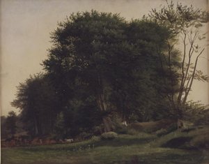 Forest Clearing with Cattle