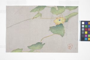 Flower Study, c.1908 by Wilhelmina Seegmiller