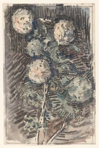 Branch with White Flowers