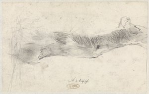 Study of a Tree by Willem Anthonie van Deventer
