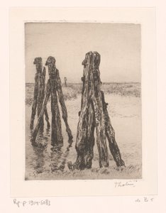 Three Mooring Posts in Low Water