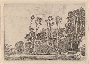 The Sower