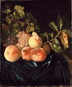 Still Life of Peaches and Grapes, 1705