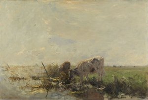 Cows at a Puddle