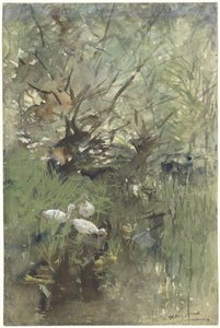 Ducks under Willows