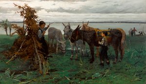Boys Herding Donkeys