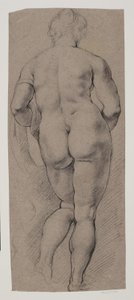 Standing Female Nude Seen from the Back