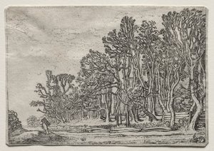 The Set of the Landscapes: Two Plank-Hedges