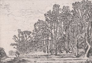 Two Plank Hedges, from Various Little Landscapes, Plate 6