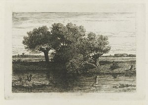 Fisherman by the Pollard Willows