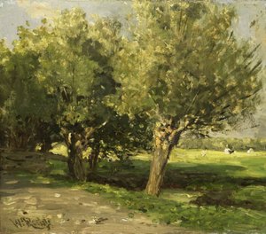 Willow Trees