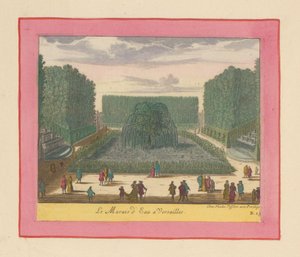 Water Marsh in the Gardens of Versailles