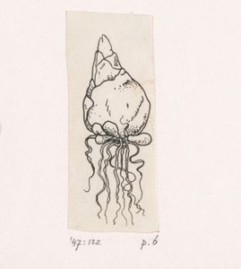 Flower Bulb