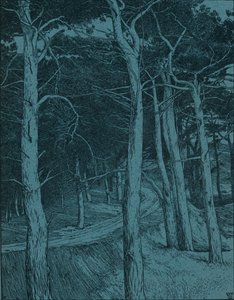 Woodland
