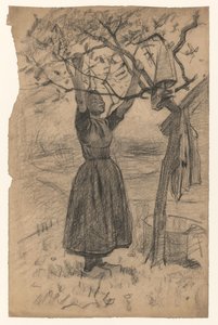 Woman Hanging Laundry in a Tree, to the Right by Willem Arnoldus Witsen
