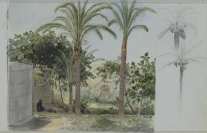 Oasis with Palm Trees by Willem de Famars Testas