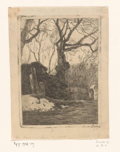 Trees and Bundles of Branches by a Fence