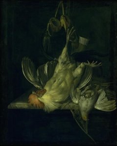 A Dead White Cock by Willem van Aelst