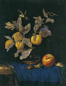 Still Life with Fruit by Willem van Aelst