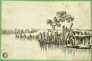 Stream with Pilings