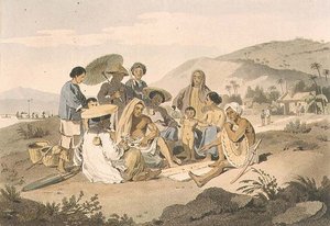 A Group of Cochin Chinese, plate 14 from 