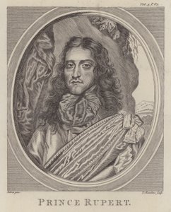 Prince Rupert of the Rhine, German Soldier Who Fought on the Royalist Side in the English Civil War by William (after) Dobson