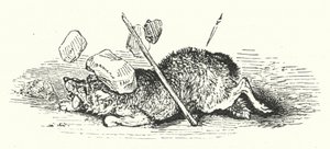 Death of the Wolf by William (after) Harvey