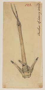 WD 959 section 2 f.122