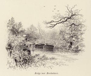 Bridge near Brockenhurst by William Alexander Ansted