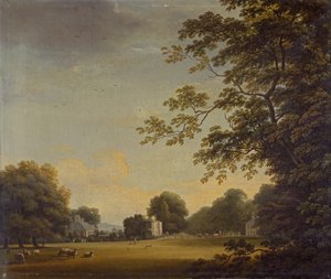 View in Mount Merrion Park