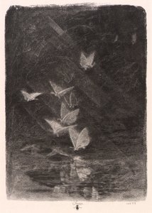 Night Moths