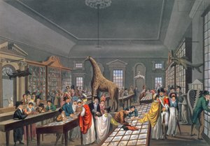 Interior of the Egyptian Hall, Piccadilly, Etched by the Artist, c.1815-25