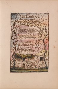 Songs of Innocence and of Experience, Plate 24, The Lamb (Bentley 8)